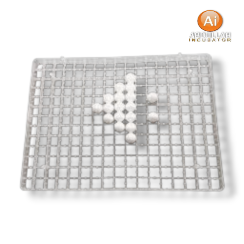 Quail Eggs Setter Tray for Egg Incubator Material: Plastic Capacity: 99 Eggs Egg Type: Quail or Bird