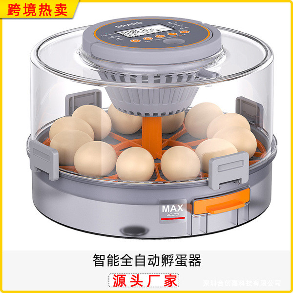 Fully Automatic Smart Home 20 Small Chicken Incubator Automatic Egg Turning High Incubation Rate Small Constant Temperature Egg Incubator
